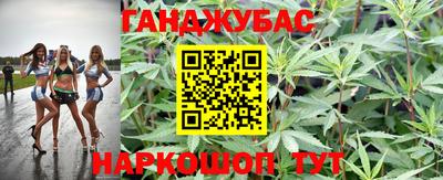 прущие грибы Абакан