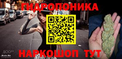 прущие грибы Абакан