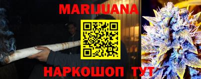 прущие грибы Абакан