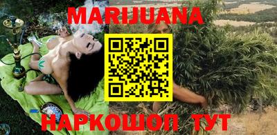 прущие грибы Абакан