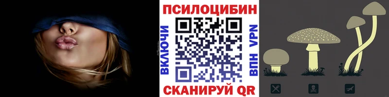 Галлюциногенные грибы Magic Shrooms  нарко площадка Telegram  Тихвин 