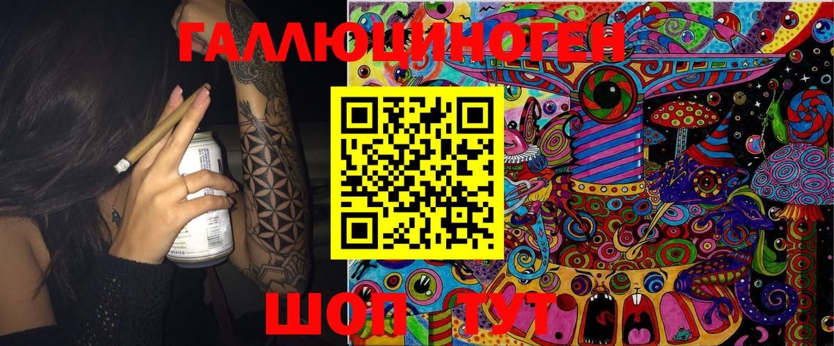 Псилоцибиновые грибы Psilocybe Тихвин