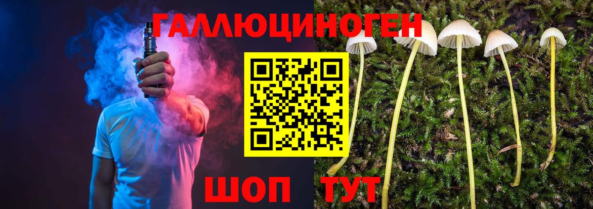 Галлюциногенные грибы GOLDEN TEACHER  Вход с VPN  Галлюциногенные грибы Cubensis  Тихвин 