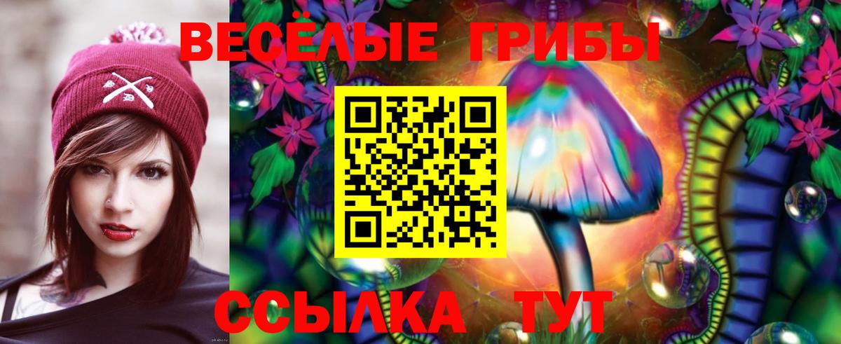 Тихвин  Галлюциногенные грибы мицелий  Вход с VPN 