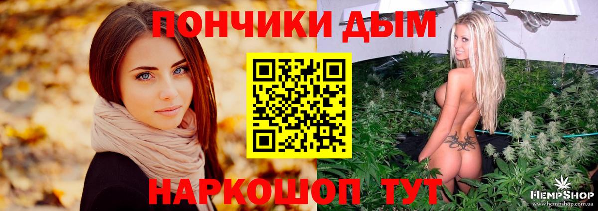 Каннабис ГИДРОПОН  Канабис планчик  Тихвин  Вход с VPN  Бошки марихуана THC 21% 